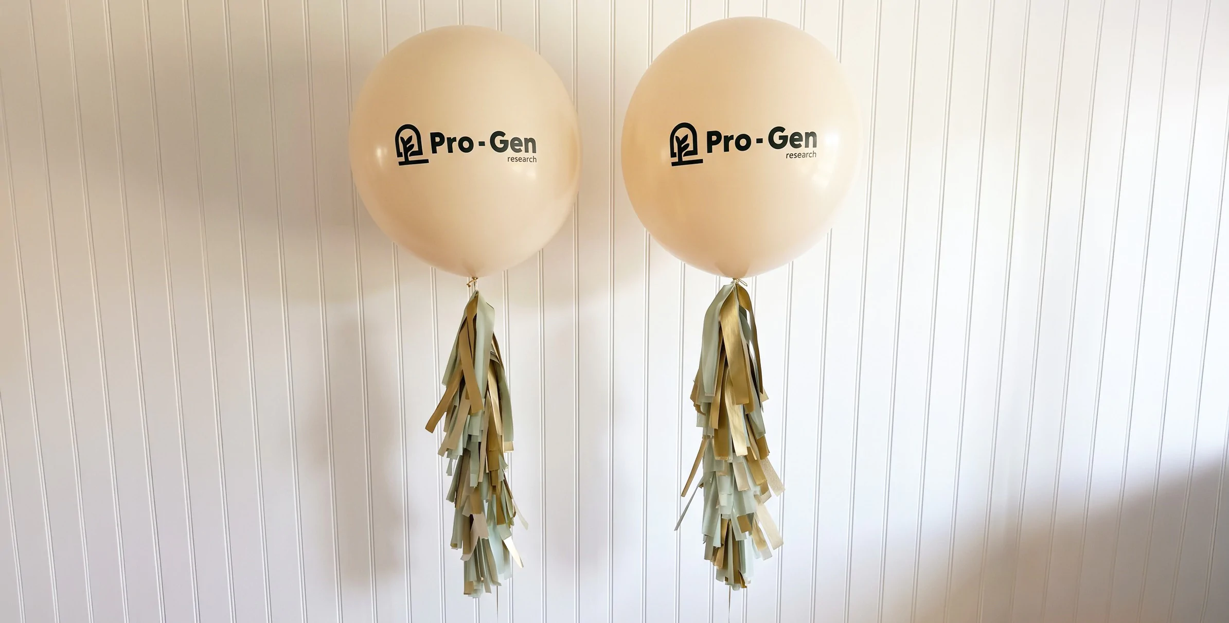Branded Corporate Balloons for hire from Elizabeth James Events